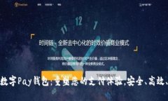 全新数字Pay钱包：重塑您的支付体验，