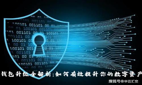 区块链钱包升级全解析:如何有效提升你的数字资产安全性