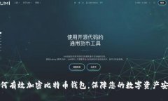 如何有效加密比特币钱包，保障您的数