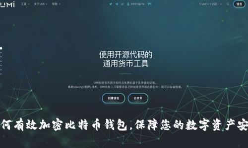 如何有效加密比特币钱包,保障您的数字资产安全