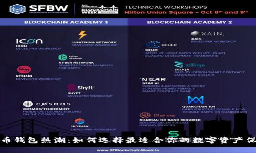 数字货币钱包热潮:如何选择最适合你的数字资产保护方案