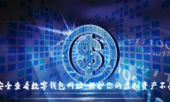 如何安全查看数字钱包网址：保护你的