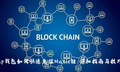 tp钱包如何快速充值Matic链:详细指南与技巧