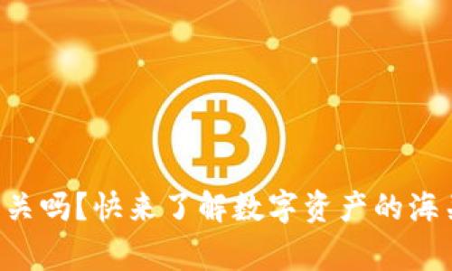 区块链钱包能过海关吗?快来了解数字资产的海关政策和注意事项!
