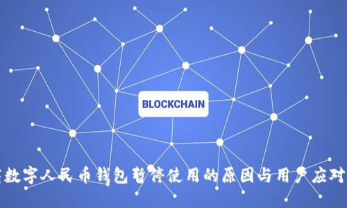 工商数字人民币钱包暂停使用的原因与用户应对策略