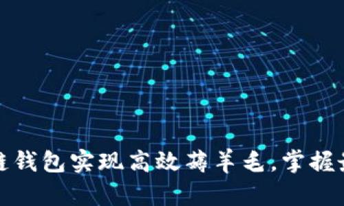 如何通过区块链钱包实现高效薅羊毛,掌握最新技巧与策略
