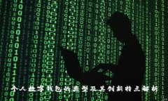 个人数字钱包的类型及其创新特点解析
