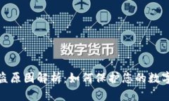 TP钱包被盗原因解析：如何保护您的数