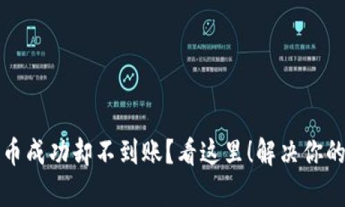 TP钱包充币成功却不到账?看这里!解决你的所有疑惑