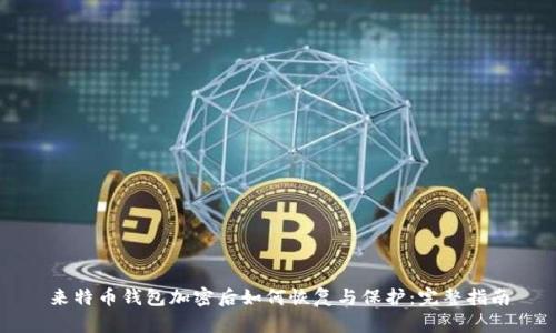 来特币钱包加密后如何恢复与保护:完整指南