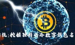 颠覆传统：挖掘独特的冷数字钱包名称