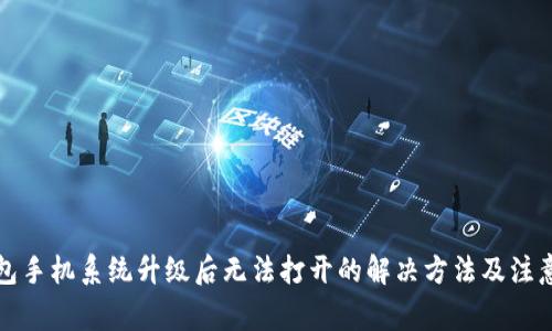 TP钱包手机系统升级后无法打开的解决方法及注意事项