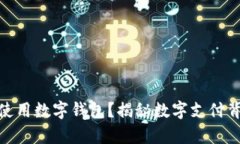 失信人是否能够使用数字钱包？揭秘数