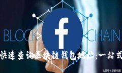 如何快速查询区块链钱包地址：一站式