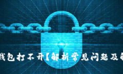 区块链钱包打不开？解析常见问题及解
