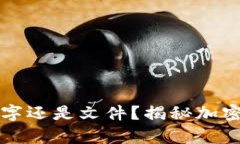 钱包里的加密货币是数字还是文件？揭