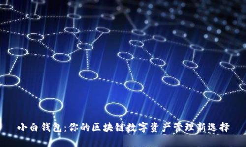 小白钱包:你的区块链数字资产管理新选择