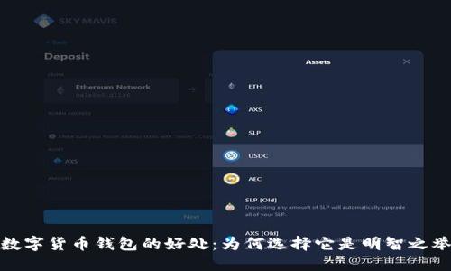 数字货币钱包的好处:为何选择它是明智之举