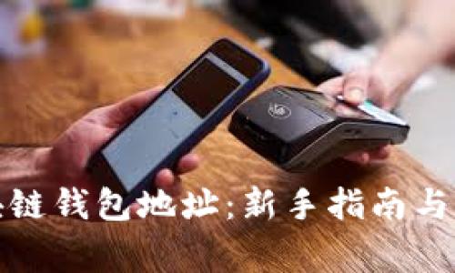 如何设置区块链钱包地址:新手指南与常见问题解答