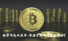数字钱包的监管：谁在掌控你的资金安