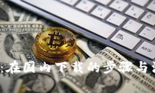t p钱包：在国内下载的步骤与注意事项