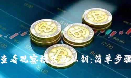 TP钱包如何查看观察模式的私钥：简单步骤与注意事项