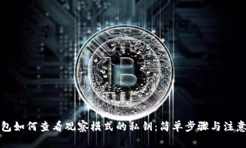 TP钱包如何查看观察模式的私钥：简单步骤与注意事项
