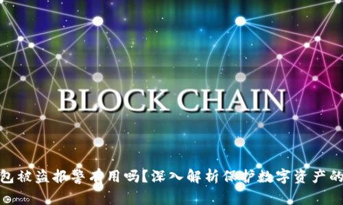 TP钱包被盗报警有用吗?深入解析保护数字资产的措施