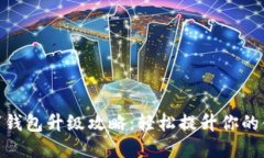 建行数字钱包升级攻略：轻松提升你的
