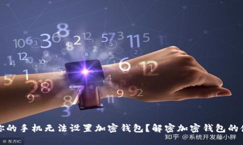 为什么你的手机无法设置加密钱包？解密加密钱包的使用障碍