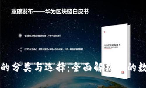 区块链钱包的分类与选择:全面解析你的数字资产管理