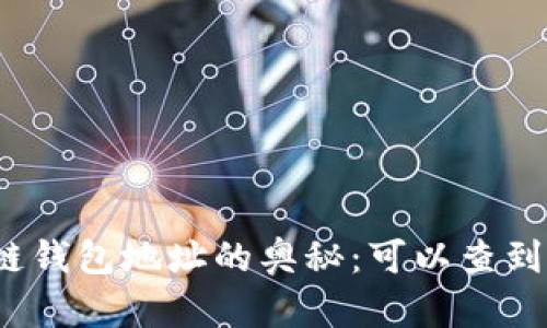 揭秘区块链钱包地址的奥秘：可以查到哪些信息？