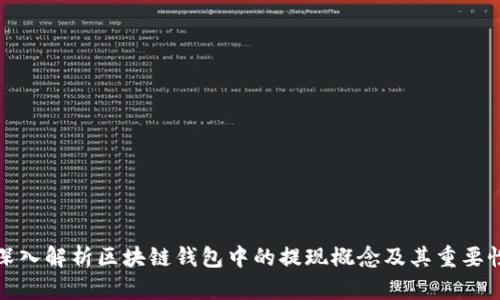 深入解析区块链钱包中的提现概念及其重要性