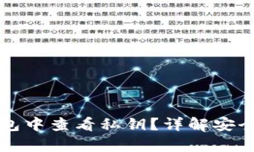 如何在TP观察钱包中查看私钥?详解安全存储与管理技巧