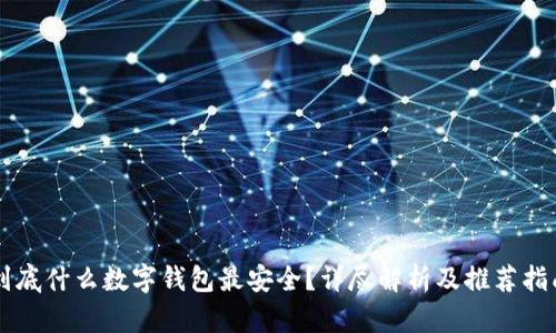 到底什么数字钱包最安全?详尽解析及推荐指南