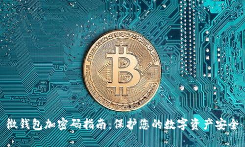 微钱包加密码指南：保护您的数字资产安全