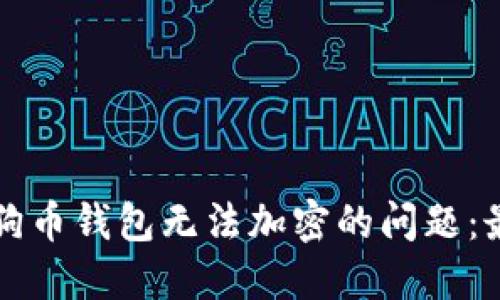 如何解决狗狗币钱包无法加密的问题:最全面的指南