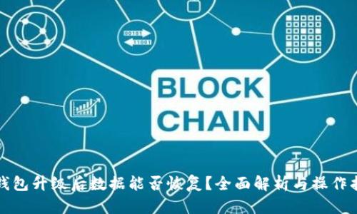 TP钱包升级后数据能否恢复？全面解析与操作指南