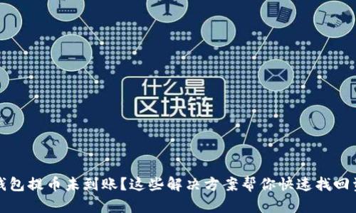 TP钱包提币未到账？这些解决方案帮你快速找回资产
