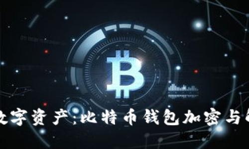 完美保护你的数字资产:比特币钱包加密与解密的全面指南