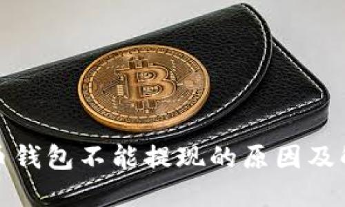 数字货币钱包不能提现的原因及解决指南
