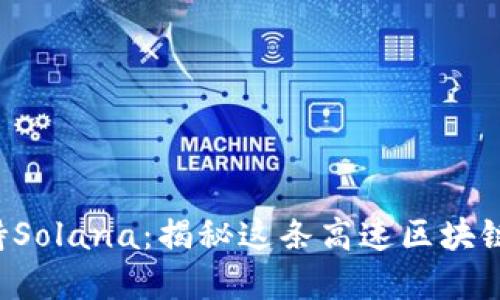t p钱包支持Solana：揭秘这条高速区块链的独特魅力