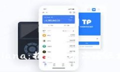 t p钱包支持Solana：揭秘这条高速区块链