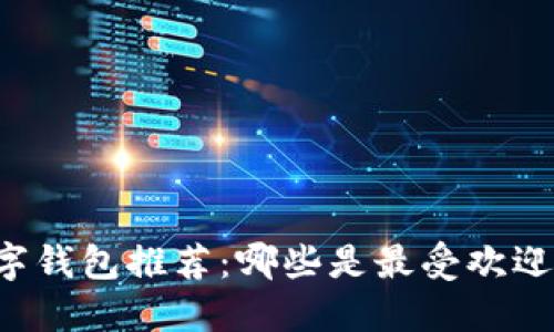韩国数字钱包推荐:哪些是最受欢迎的选择?