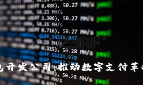 深圳数字钱包开发公司:推动数字支付革命的创新力量