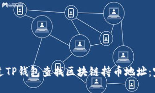 如何通过TP钱包查找区块链持币地址：完整指南