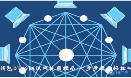 TP钱包BTCS测试网使用指南:一步步教你轻松入门