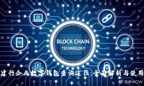 探索建行企业数字钱包查询途径：全面解析与使用技巧