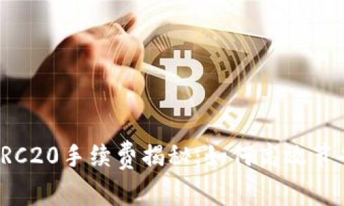 TP钱包转TRC20手续费揭秘：如何高效节省转账成本