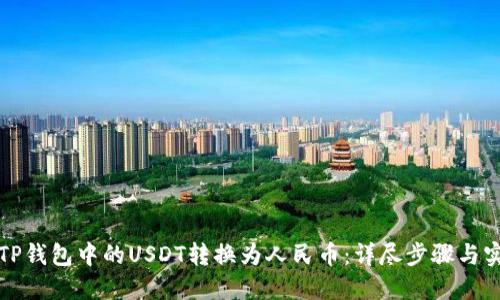 如何将TP钱包中的USDT转换为人民币：详尽步骤与实用技巧